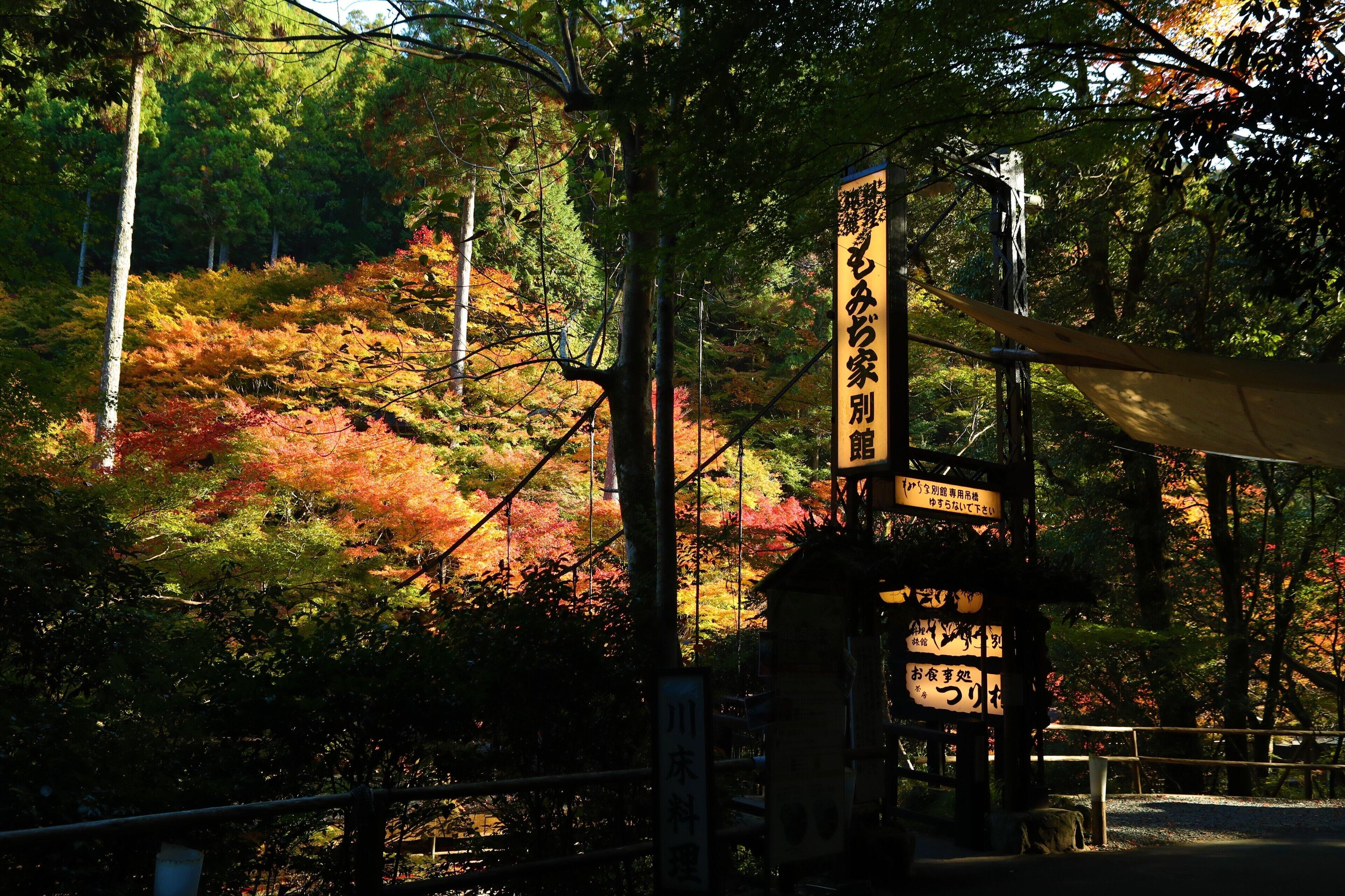 Momijiya Bekkan Kawanoiori - Kyoto — Fotos 2
